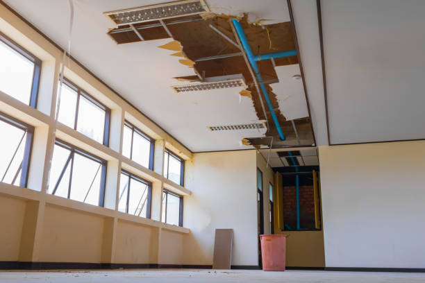 Best Professional water damage repair  in Emory, TX
