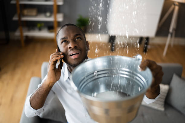 Best Local water damage restoration  in Emory, TX
