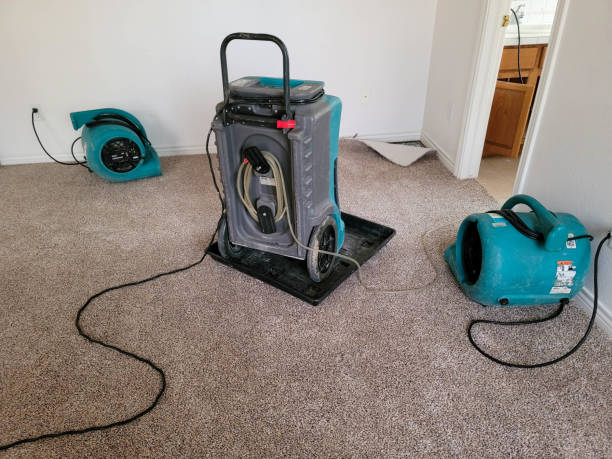 Best Basement water damage restoration  in Emory, TX