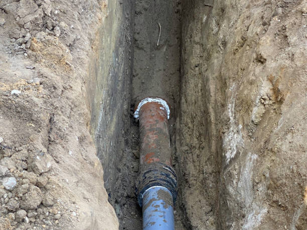 Best Basement water damage restoration  in Emory, TX