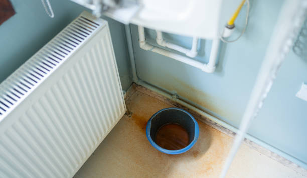 Best Ceiling water damage repair  in Emory, TX