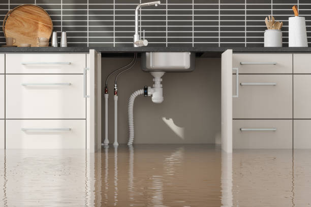 Reliable Emory, TX Water damage restoration Solutions